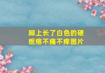 脚上长了白色的硬疙瘩不痛不痒图片