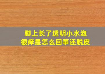 脚上长了透明小水泡很痒是怎么回事还脱皮