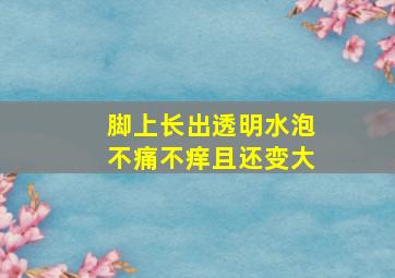 脚上长出透明水泡不痛不痒且还变大