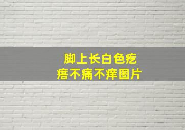 脚上长白色疙瘩不痛不痒图片