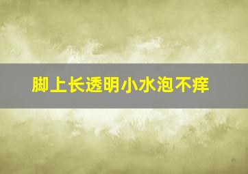 脚上长透明小水泡不痒