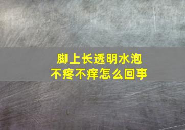 脚上长透明水泡不疼不痒怎么回事