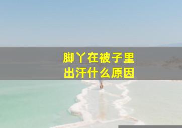 脚丫在被子里出汗什么原因