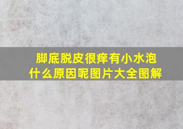 脚底脱皮很痒有小水泡什么原因呢图片大全图解