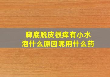 脚底脱皮很痒有小水泡什么原因呢用什么药