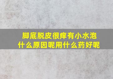 脚底脱皮很痒有小水泡什么原因呢用什么药好呢