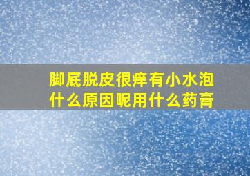 脚底脱皮很痒有小水泡什么原因呢用什么药膏