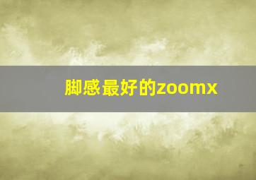 脚感最好的zoomx