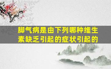 脚气病是由下列哪种维生素缺乏引起的症状引起的