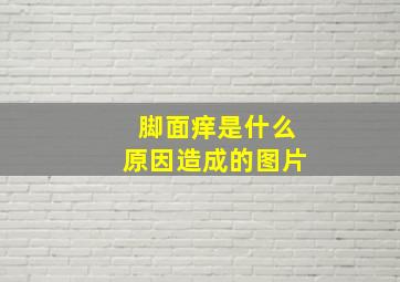 脚面痒是什么原因造成的图片