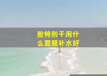 脸特别干用什么面膜补水好