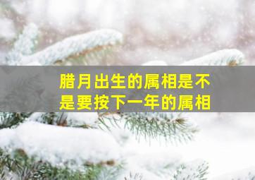 腊月出生的属相是不是要按下一年的属相