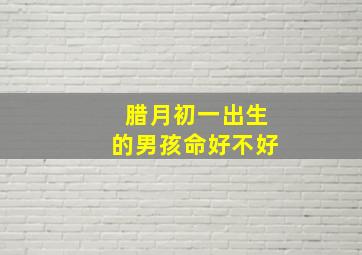 腊月初一出生的男孩命好不好