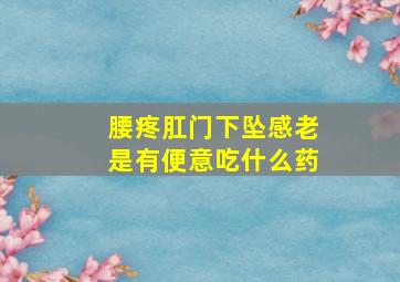 腰疼肛门下坠感老是有便意吃什么药