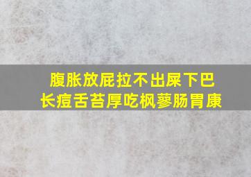 腹胀放屁拉不出屎下巴长痘舌苔厚吃枫蓼肠胃康