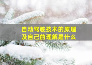 自动驾驶技术的原理及自己的理解是什么