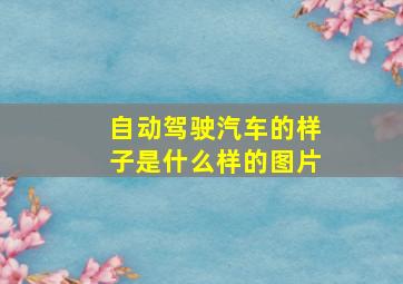 自动驾驶汽车的样子是什么样的图片