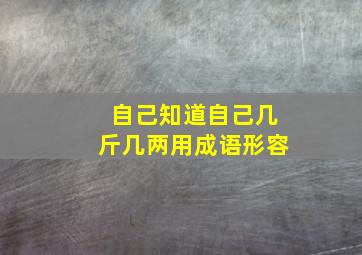 自己知道自己几斤几两用成语形容