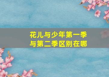 花儿与少年第一季与第二季区别在哪