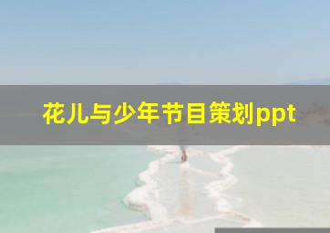 花儿与少年节目策划ppt