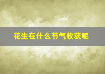 花生在什么节气收获呢