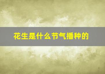 花生是什么节气播种的