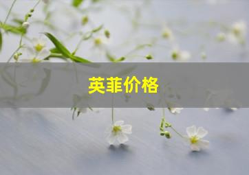 英菲价格