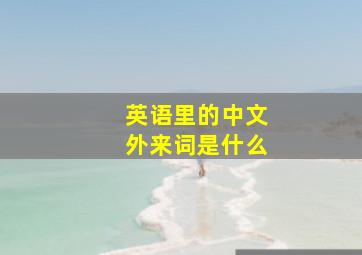 英语里的中文外来词是什么