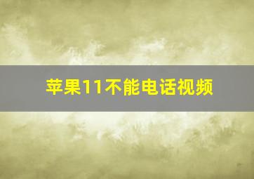 苹果11不能电话视频