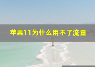 苹果11为什么用不了流量