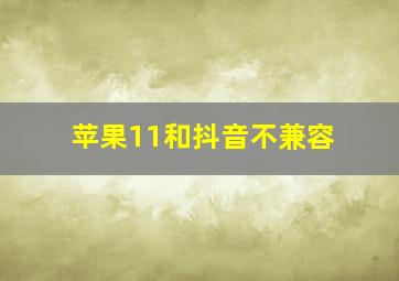 苹果11和抖音不兼容