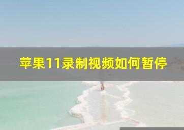 苹果11录制视频如何暂停