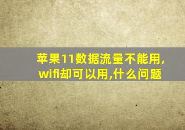 苹果11数据流量不能用,wifi却可以用,什么问题