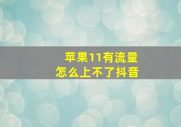 苹果11有流量怎么上不了抖音