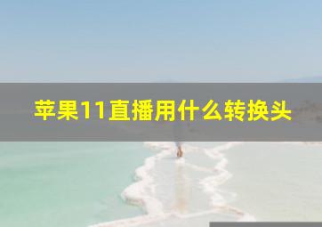 苹果11直播用什么转换头