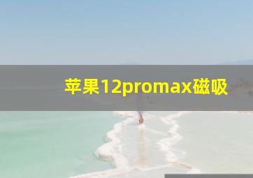 苹果12promax磁吸