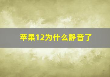 苹果12为什么静音了