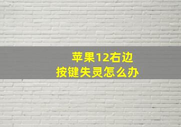 苹果12右边按键失灵怎么办