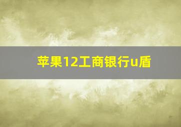 苹果12工商银行u盾