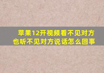 苹果12开视频看不见对方也听不见对方说话怎么回事