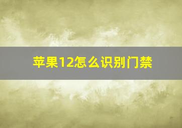 苹果12怎么识别门禁