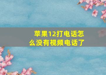 苹果12打电话怎么没有视频电话了