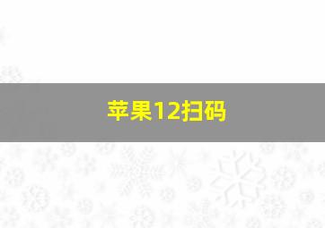 苹果12扫码