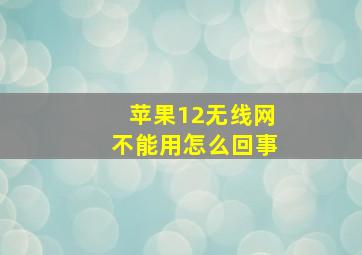 苹果12无线网不能用怎么回事