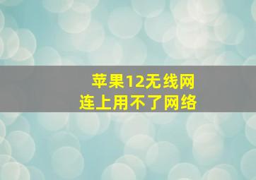 苹果12无线网连上用不了网络