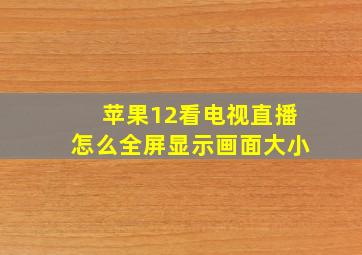 苹果12看电视直播怎么全屏显示画面大小