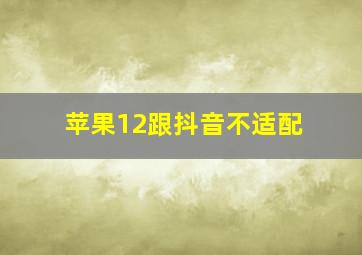 苹果12跟抖音不适配