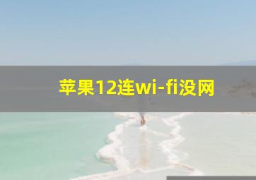 苹果12连wi-fi没网