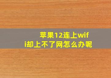 苹果12连上wifi却上不了网怎么办呢