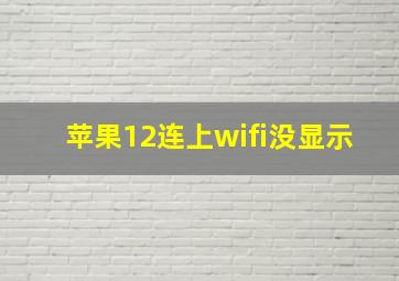 苹果12连上wifi没显示